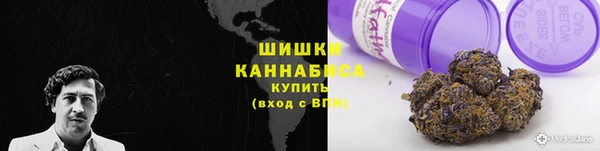 твердый Богородицк