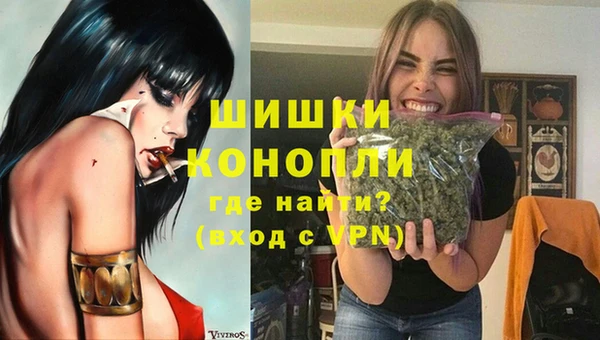сатива Богданович