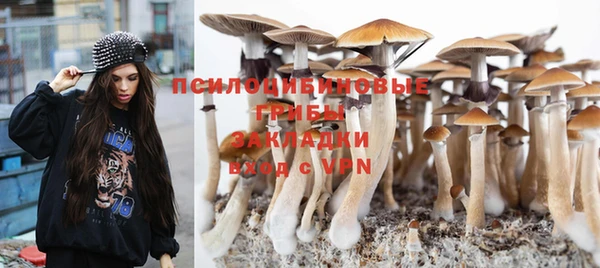 не бодяженный Богородск
