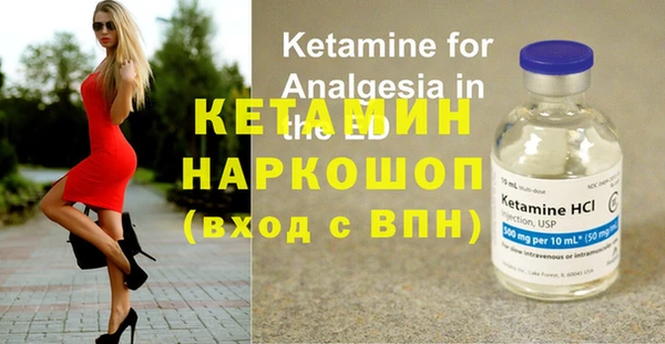 сатива Богданович