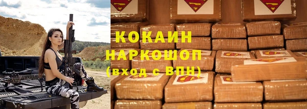 сатива Богданович