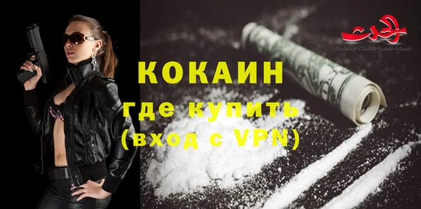 твердый Богородицк