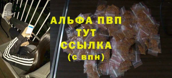 сатива Богданович