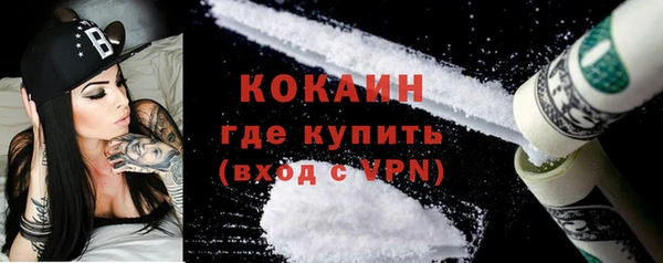 сатива Богданович