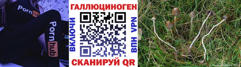 Псилоцибиновые грибы Psilocybine cubensis  нарко площадка состав  Среднеуральск  магазин продажи наркотиков  МЕГА как зайти 