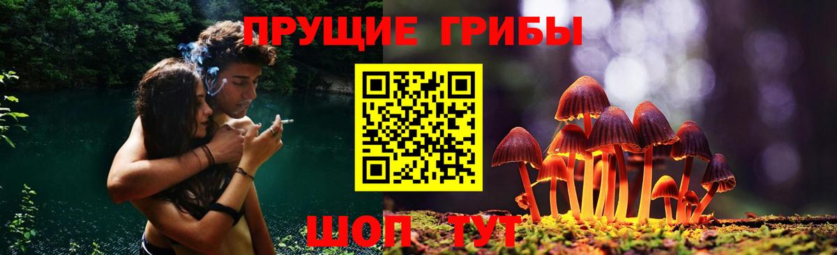 Галлюциногенные грибы Psilocybe Среднеуральск