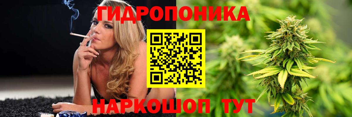 Канабис конопля Среднеуральск